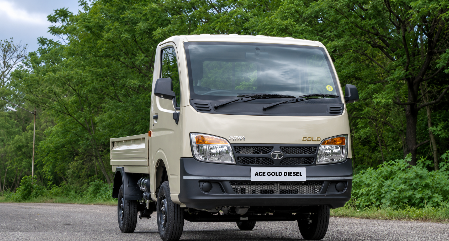 Tata Ace Gold Diesel